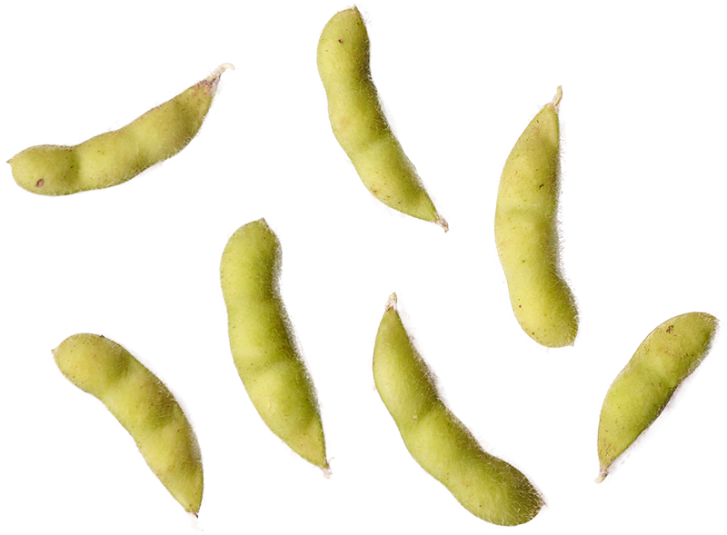 枝豆