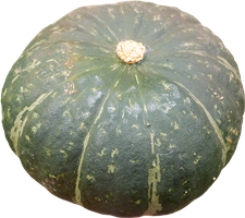 野菜のこと