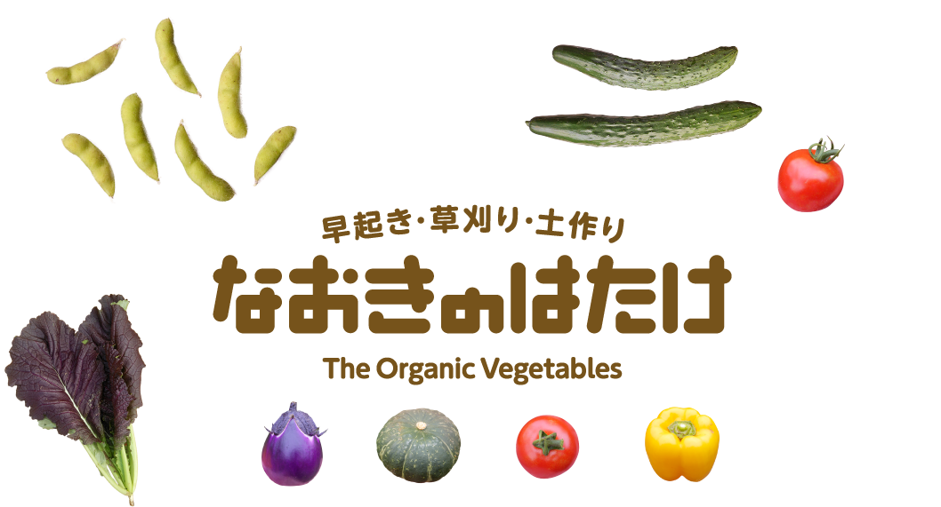 なおきのはたけ