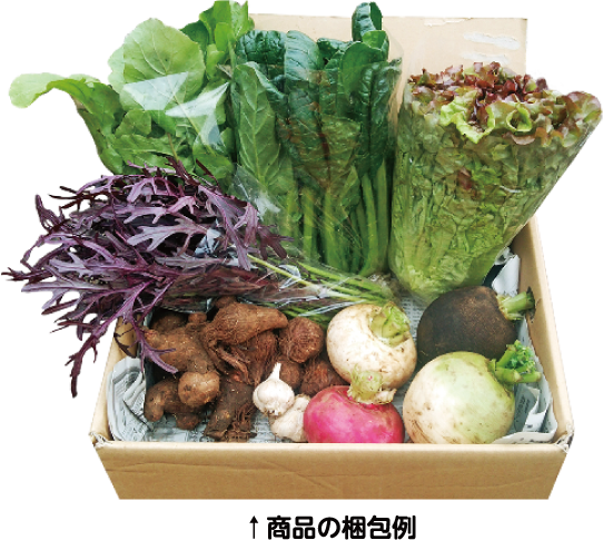 野菜の販売